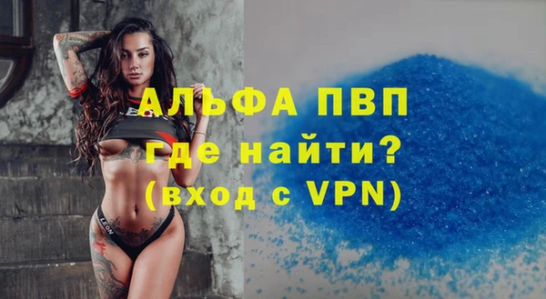 стаф Баксан