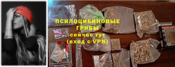 стаф Баксан